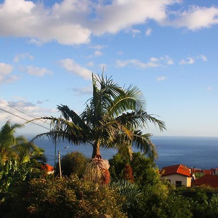 شقة Lugar Dos Louros 2 Estreito Da Calheta المظهر الخارجي الصورة