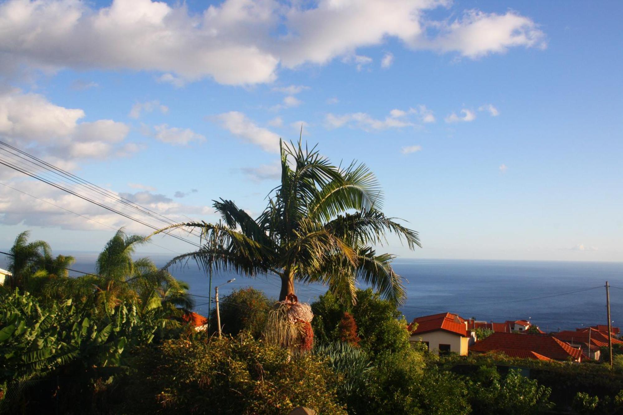 شقة Lugar Dos Louros 2 Estreito Da Calheta المظهر الخارجي الصورة